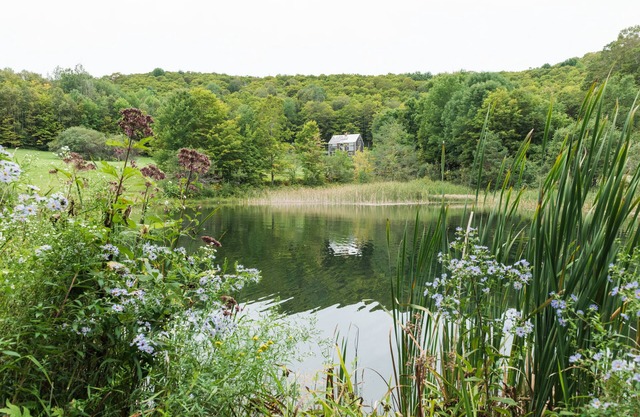 Spectacular home on 60 acres, swimming pond & trails, pet friendly + EV charger