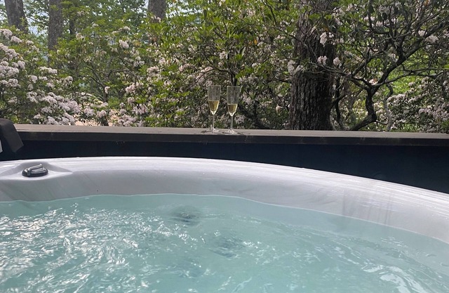 Spectacular mountain views with private hot tub!