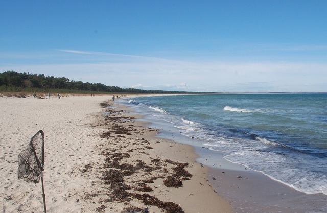 Spend a wonderful vacation in a cozy vacation home with sauna on Rügen.
