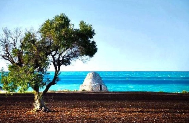 SPEND YOUR HOLIDAYS IN Apulia - MONOPOLI - South Coast