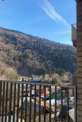 Splendid view Sinaia