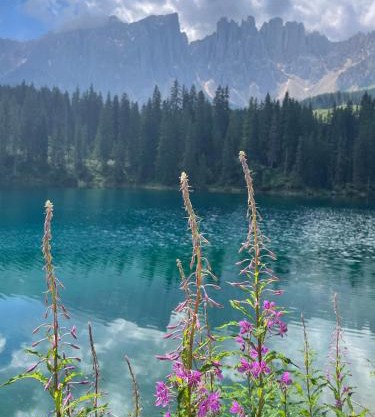 Splendida Carezza