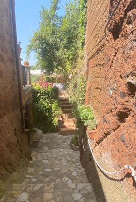 Splendida villetta con giardino