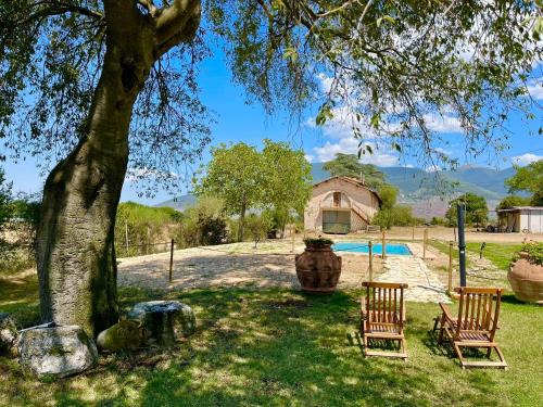 Spoleto Biofarm-Sleeps 8 guests-Salt water pool-Beautiful-Exclusively yours-WIFI