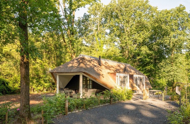 Sprielderbosch 3 luxury holiday villa in forest near Garderen