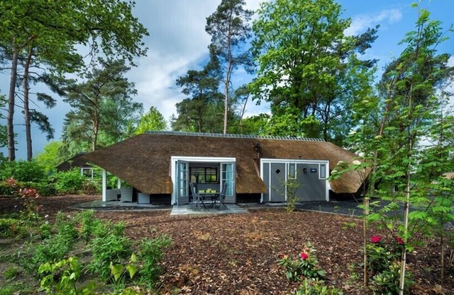 Sprielderbosch 9 luxury holidayhome in the forest near the Veluwe