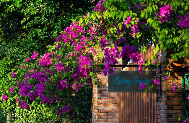 Spring Garden Homestay