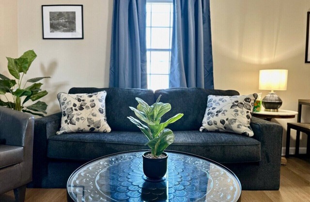 Spring Street Suites C/Stylish 3BD/1BA Apt