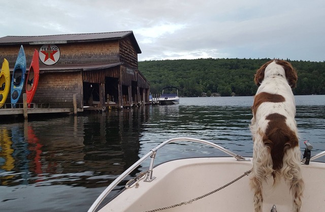 Squam Lake Waterfront home. You can't get any closer to the water!