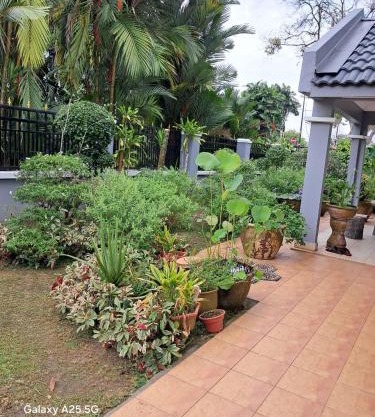 SS Homestay