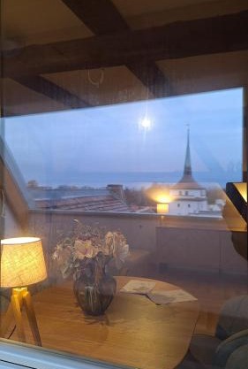 Stadtpalais Bellevue-Suite 3- Zimmer- Maisonettewohnung mit Dachterrasse maximal 4 Personen