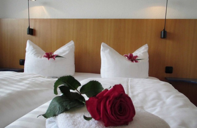 Standard - Double room - Hotel Carat