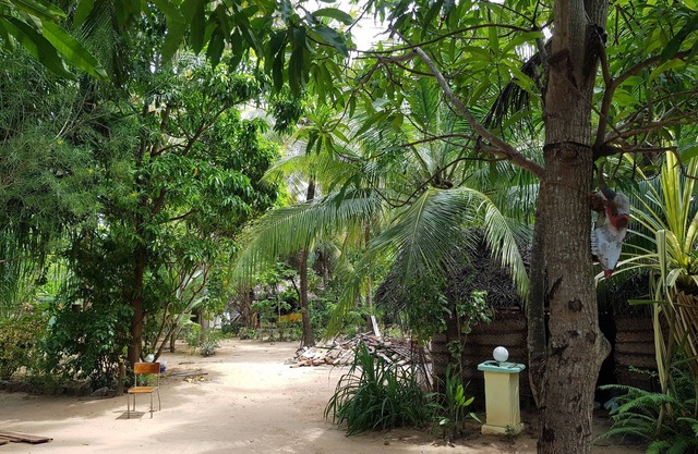 Star Hotel Arugambay