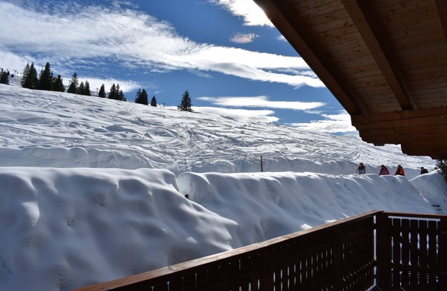 Staudi's ski hut Top7 in hut style directly on the piste Wood-burning stove