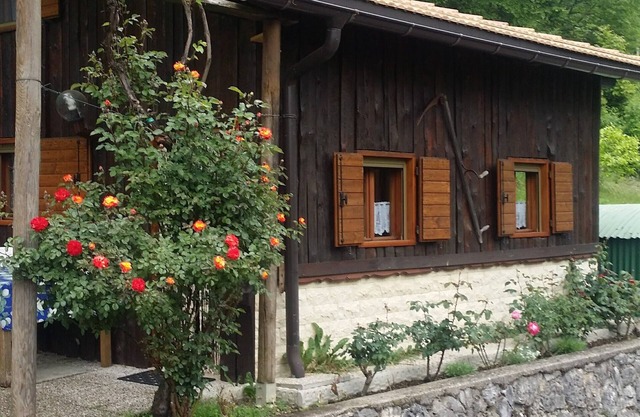 Stella Alpina hut.