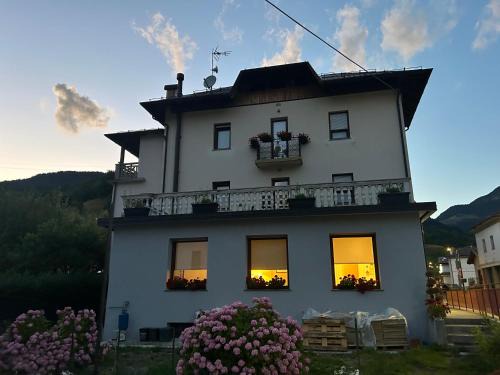 Stella Alpina
