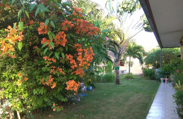 Stella Resort