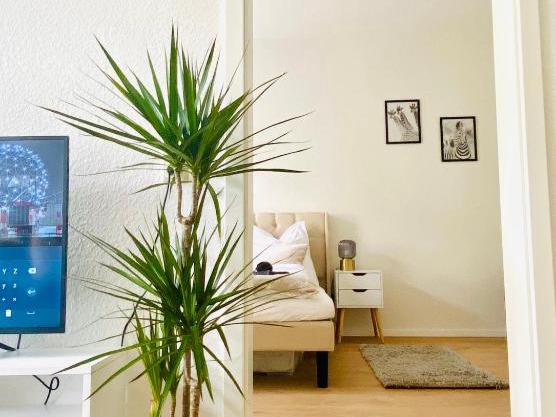 Stilvolles Apartment in zentraler Lage - Smart-TV, Queensize-Bett, Altbaustil, Küche in City-Nähe