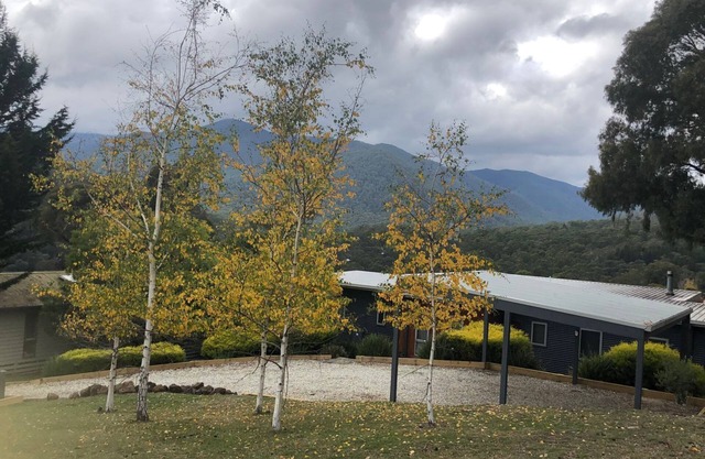 Stirling View - close to Mt Buller & Mt Stirling Entry Gates.