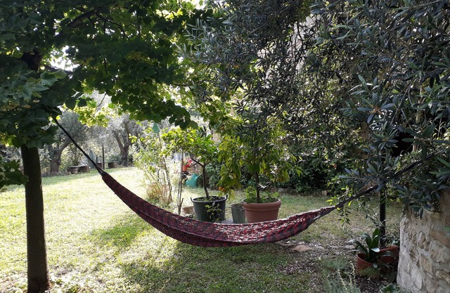 Stone house large garden among olive and oak trees, pets allowed