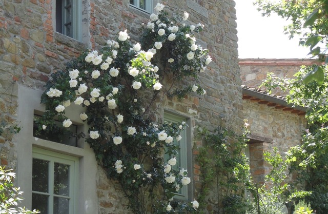 Stop and stay in Chianti! The Bracconiere