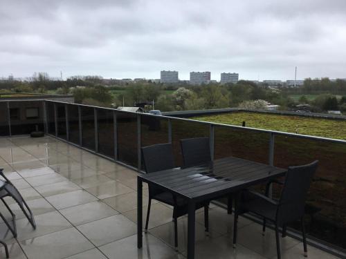 Stor lejlighed tæt på Århus C. Stor tagterrasse