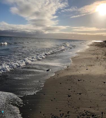Strandhaus direkt am Meer Süssau