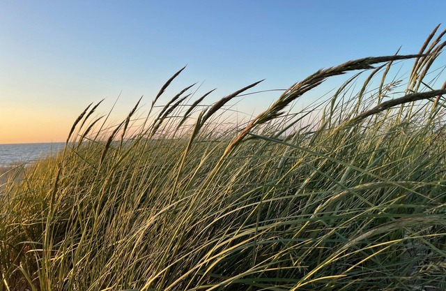 Strandnahe 3-zi.-fewo für 4 Pers. -> Inklusive Bettwäsche und Handtücher <-