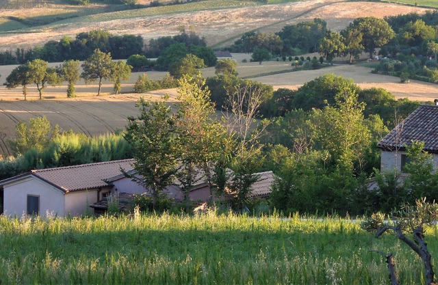 Straw bale house on Demeterhof, near the sea, natural pool