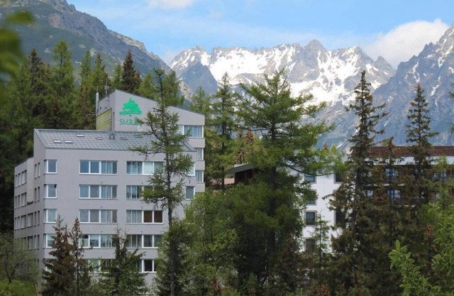 Strbske Pleso 2-bdr Pent apartment with balcony free WiFi and parking