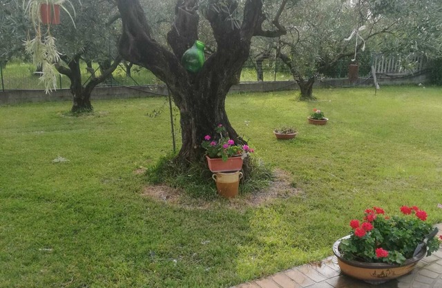 STRUTTURA RICETTIVA CON PISCINA PRIVATA