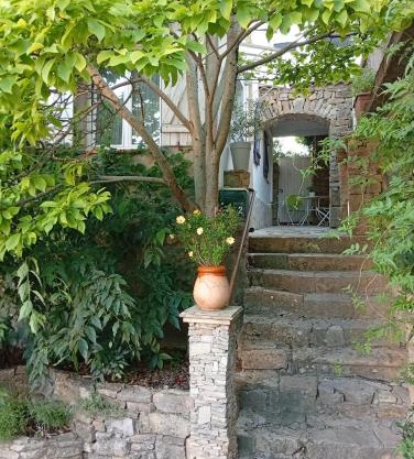 Studio magnolia