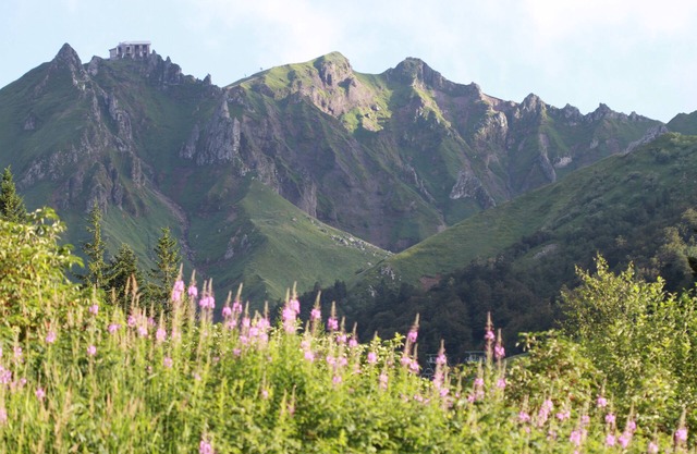 Studio 21m2 winter/summer wilderness for 4p Puy Sancy (3mn Centre Mont Dore)