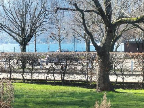 -Studio Aix les bains face au lac-