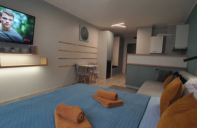 Studio amplasat în centrul orașului cu vedere la munte.