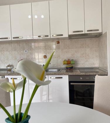 Studio apartment Novak