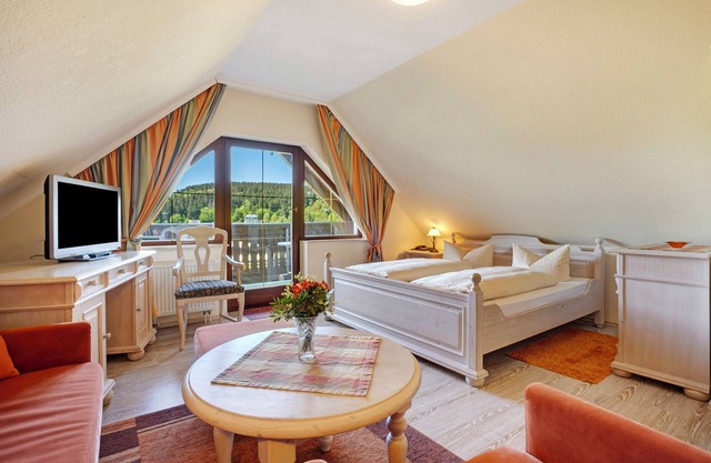 Studio Apartment 'Pension Bergblick - Silberstraße' with Mountain View, Balcony and Wi-Fi