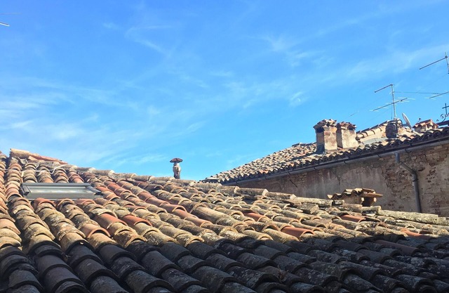 Studio flat in Urbino (Italy) Town center