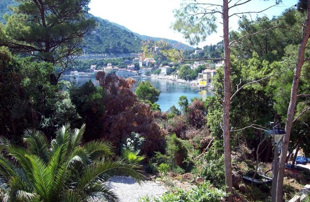 Studio flat near beach Sobra, Mljet (AS-7531-b)