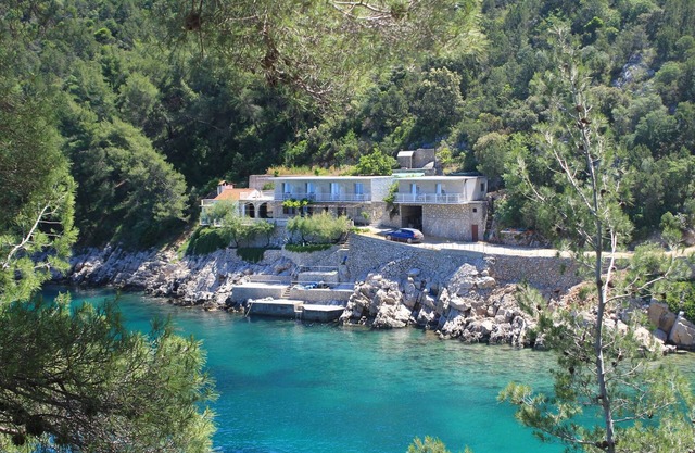Studio flat near beach Cove Mala Pogorila, Hvar (AS-8952-b)