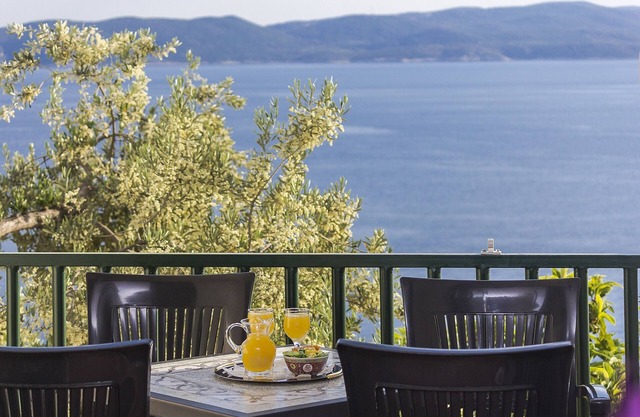 Studio flat with balcony and sea view Brela, Makarska (AS-11687-b)