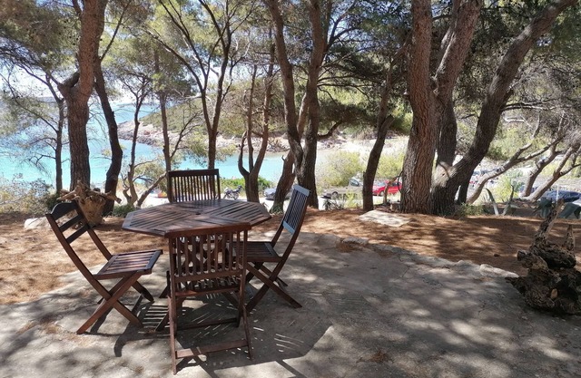 Studio flat with terrace and sea view Milna, Vis (AS-8490-a)