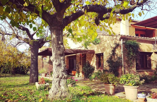 Studio for 2 people in the Empordà - Costa Brava