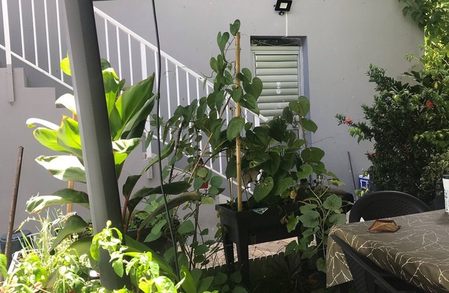 Studio for rent