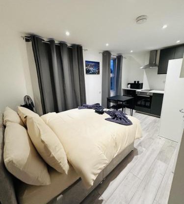 Studio in Oval London
