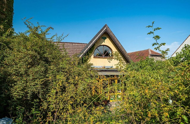 Studio 'In the Ginkgo House' with Shared Pool, Shared Garden and Wi-Fi