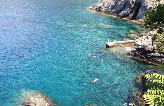 Studio - Room With Amazing Seaview Dolphin