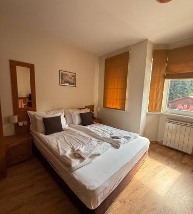 Studio Royal Plaza sleeps 4 Prime location, distance to ski lift - 50M