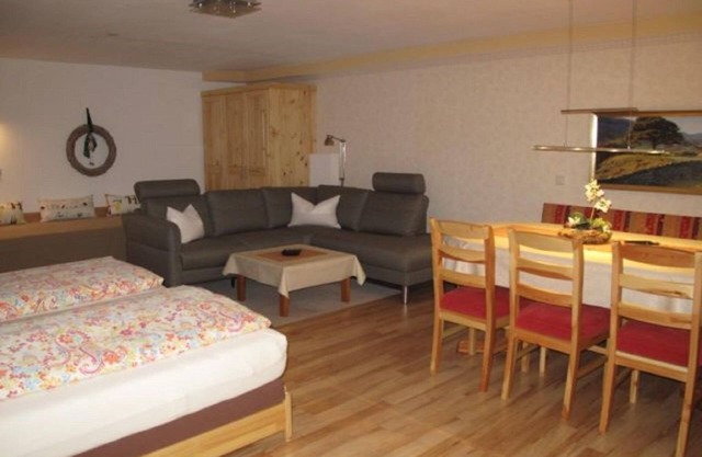 Studio, shower/WC, living/sleeping room. - House Anna