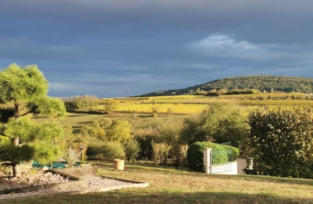 Studio Spacieux, Route des Vins